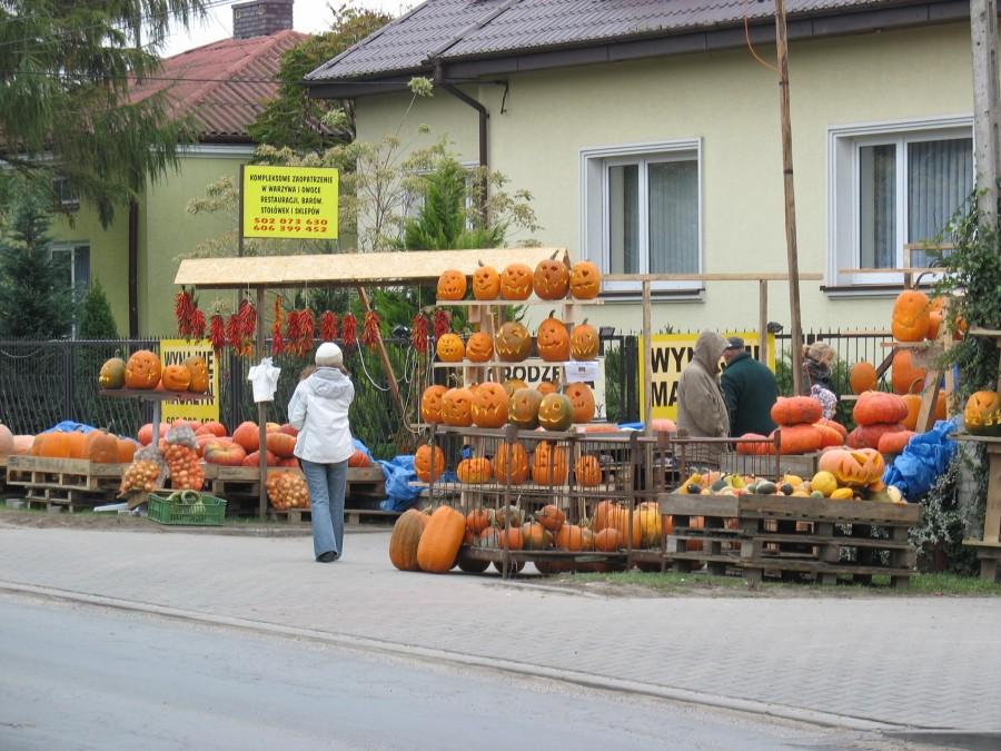 Lesznowola - dynie na Hallowe'en
