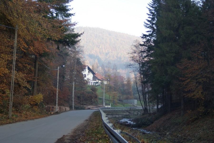 Wielka Puszcza