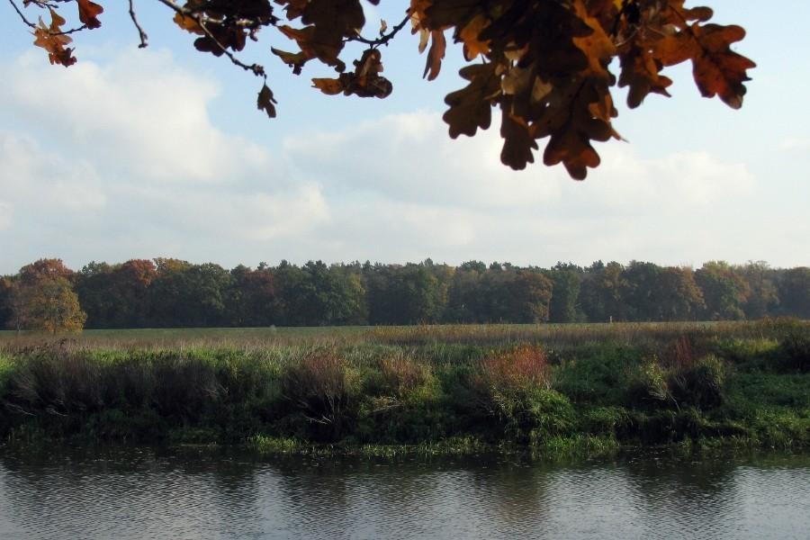 Nad Odrą, w pięknych okolicznościach przyrody... ;)