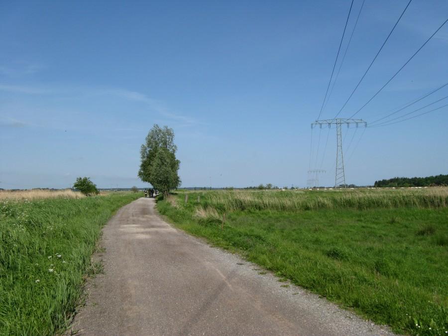 Droga rowerowa w Niemczech... :-)