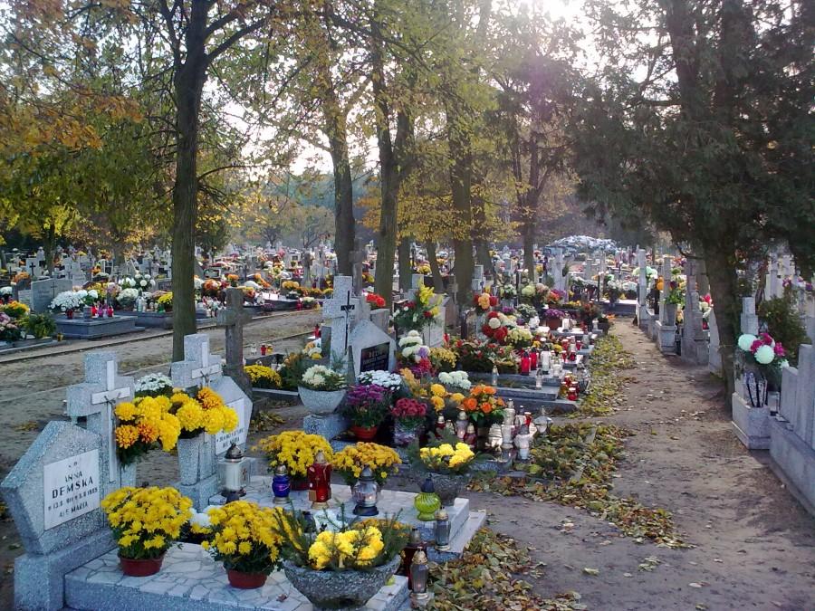 Dąbrówka