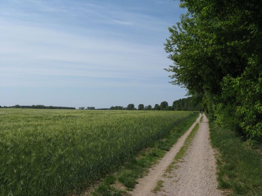 Drogi rowerowe w Niemczech