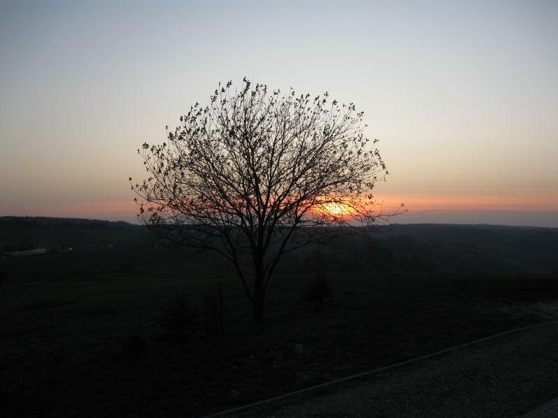 Lepszy taki zachód, niż żaden.