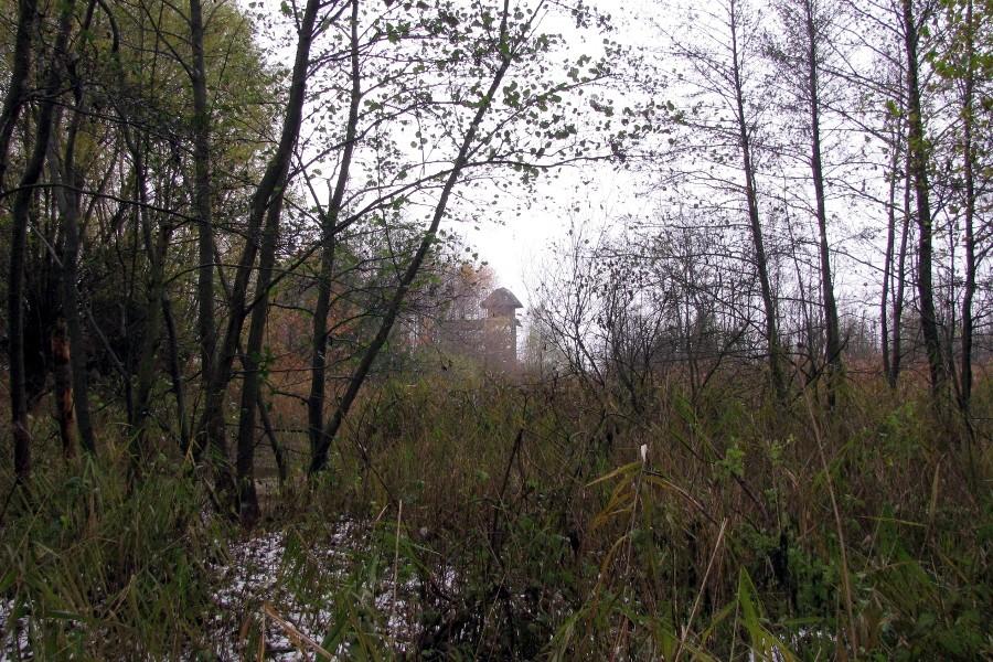 Wieża widokowa nad jez. Świdwie