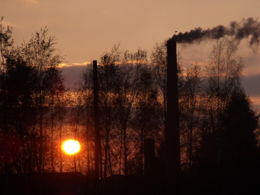 poezja i proza życia