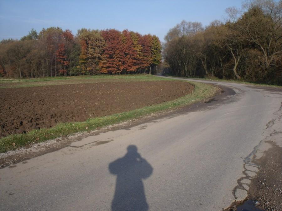 Jesień, słońce i mój cień:)
