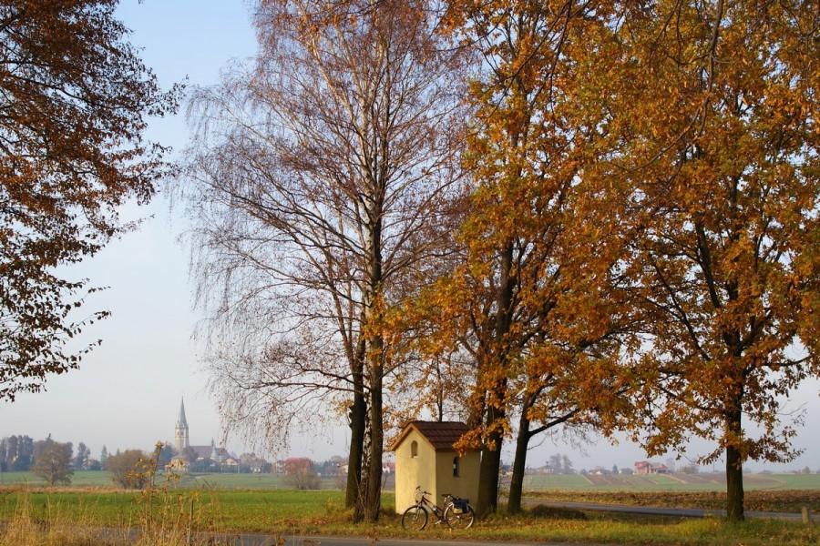 Wilamowice