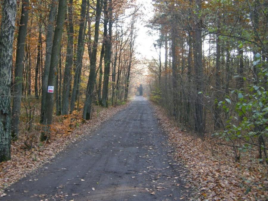 Czerwony szlak rowerowy do Olsztyna