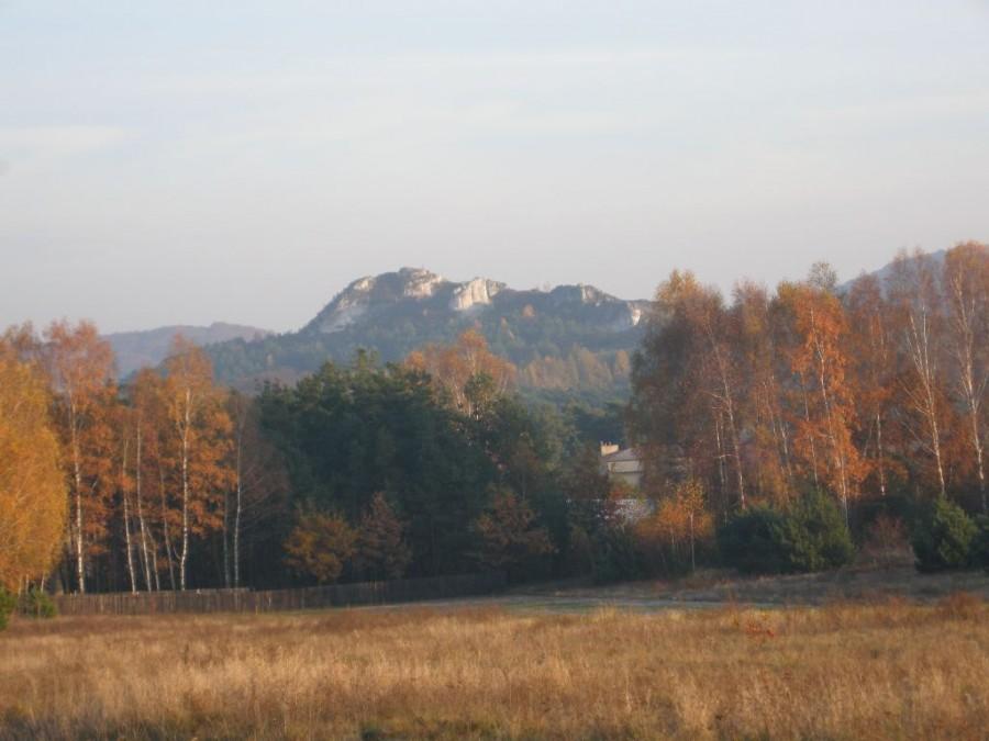 Widok na Lipówki