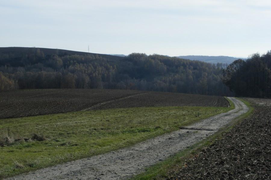 Prawie jak góry;)