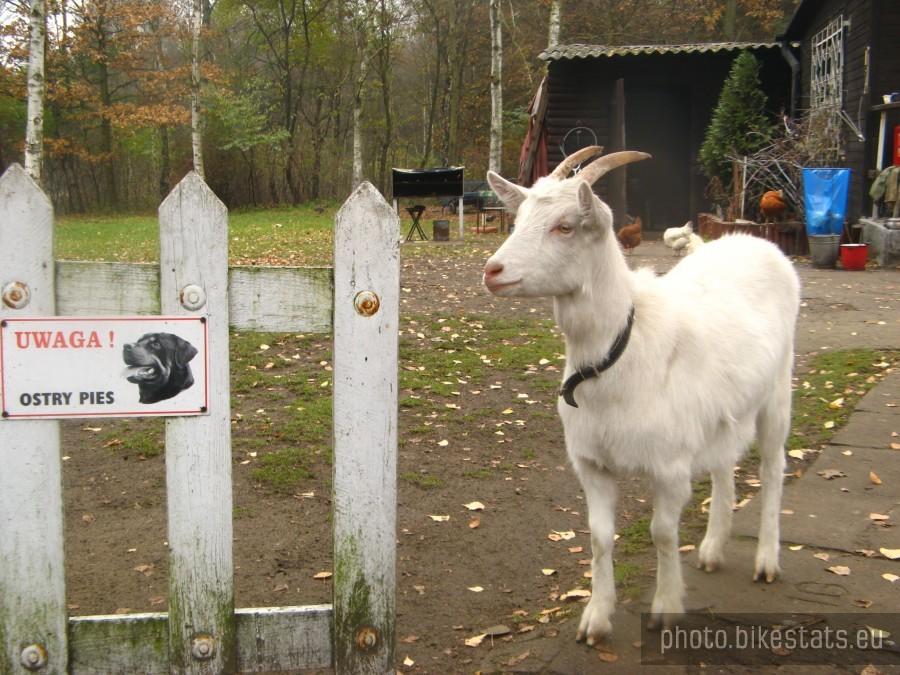 na zielonym szlaku