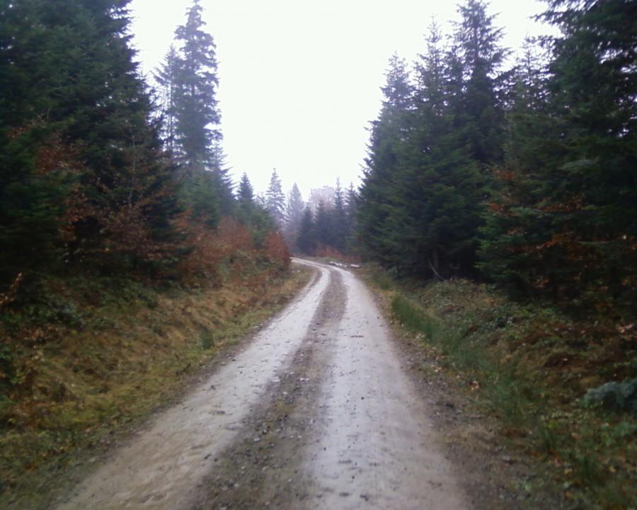 Podjazd na Maslane