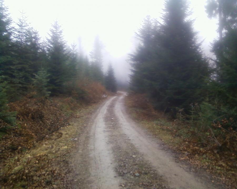 Podjazd na Maslane