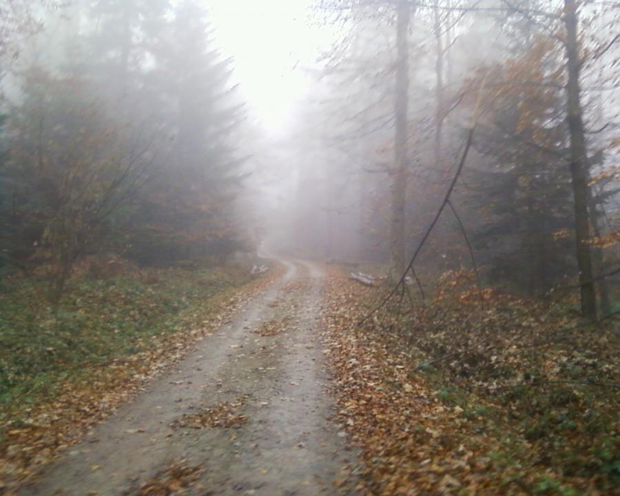 Zaczyna sie mgla