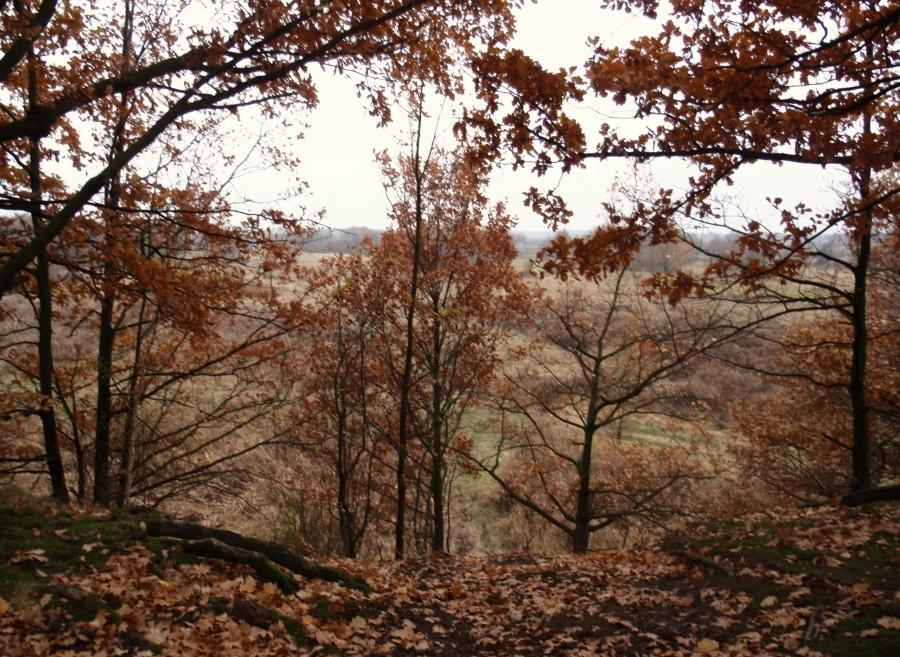Klimatyczna górka