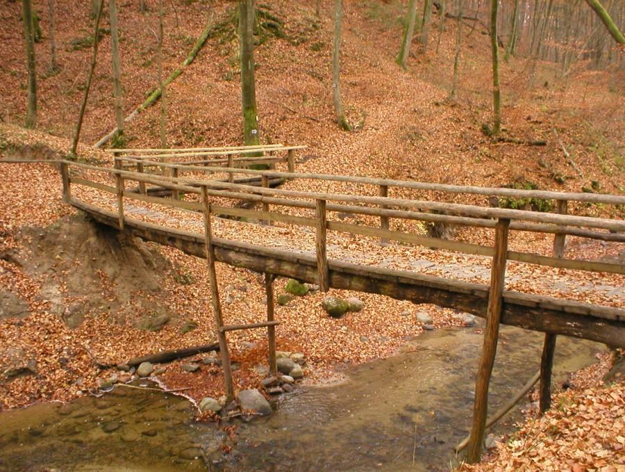 BAŻANTARNIA-MOSTEK ELEWÓW
