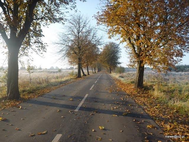 Jesień