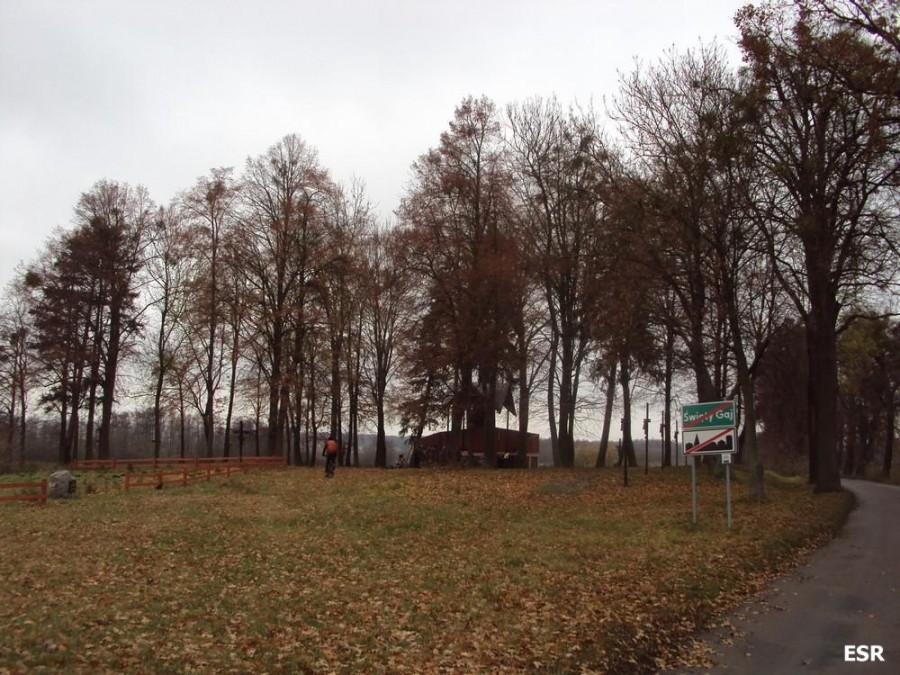 Święty Gaj