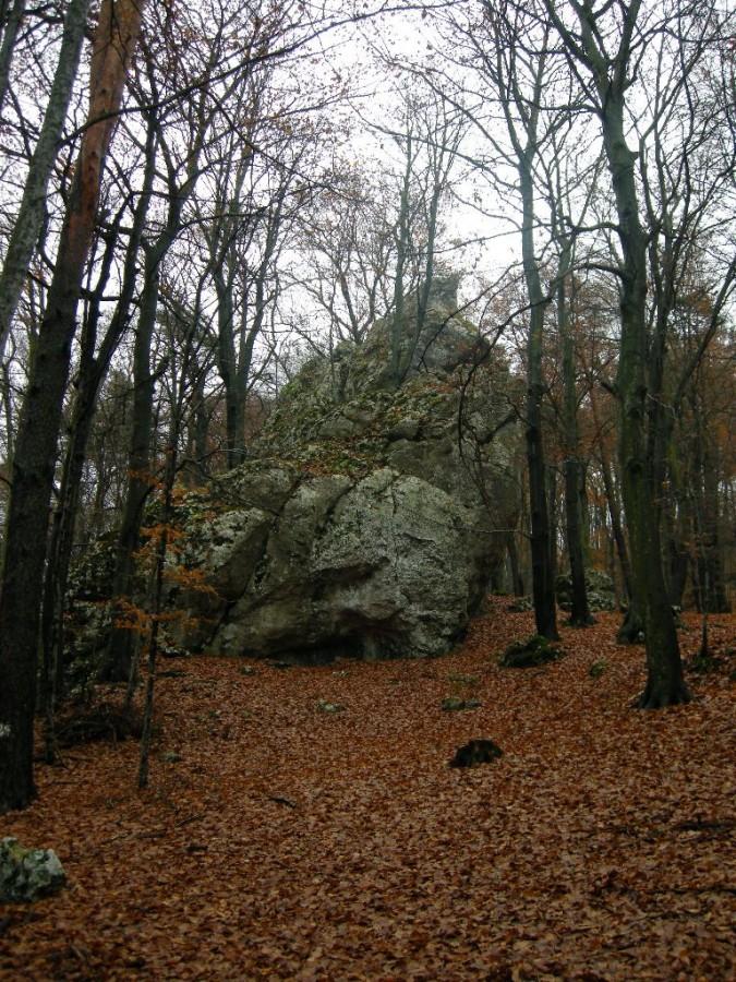 Pielgrzym z innej strony