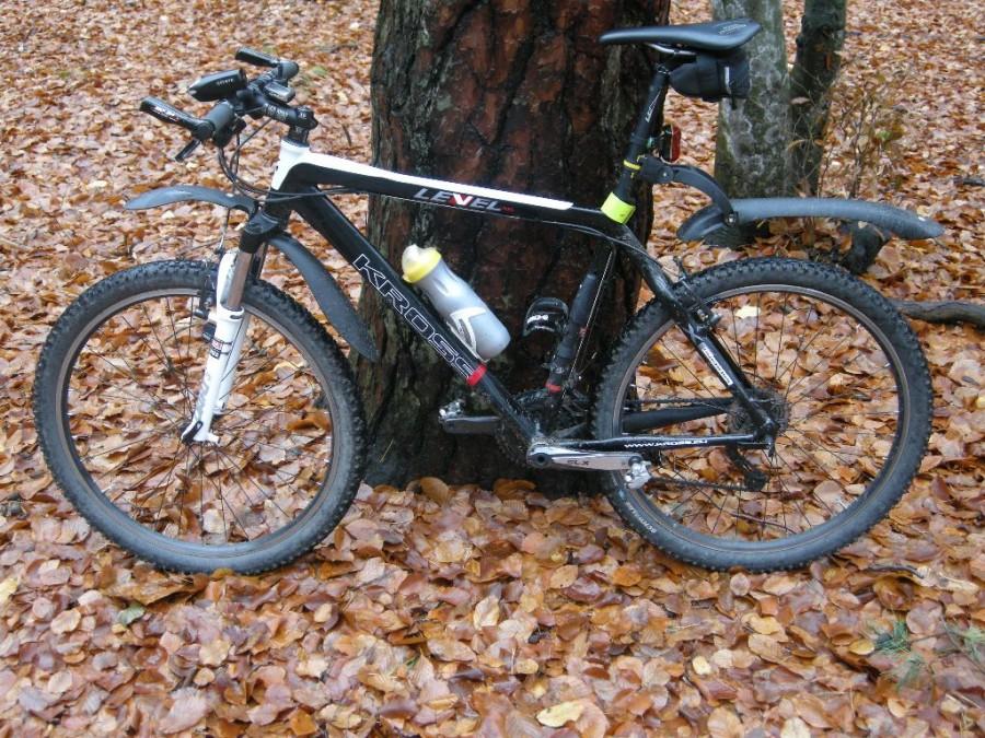 Kross Level A6
