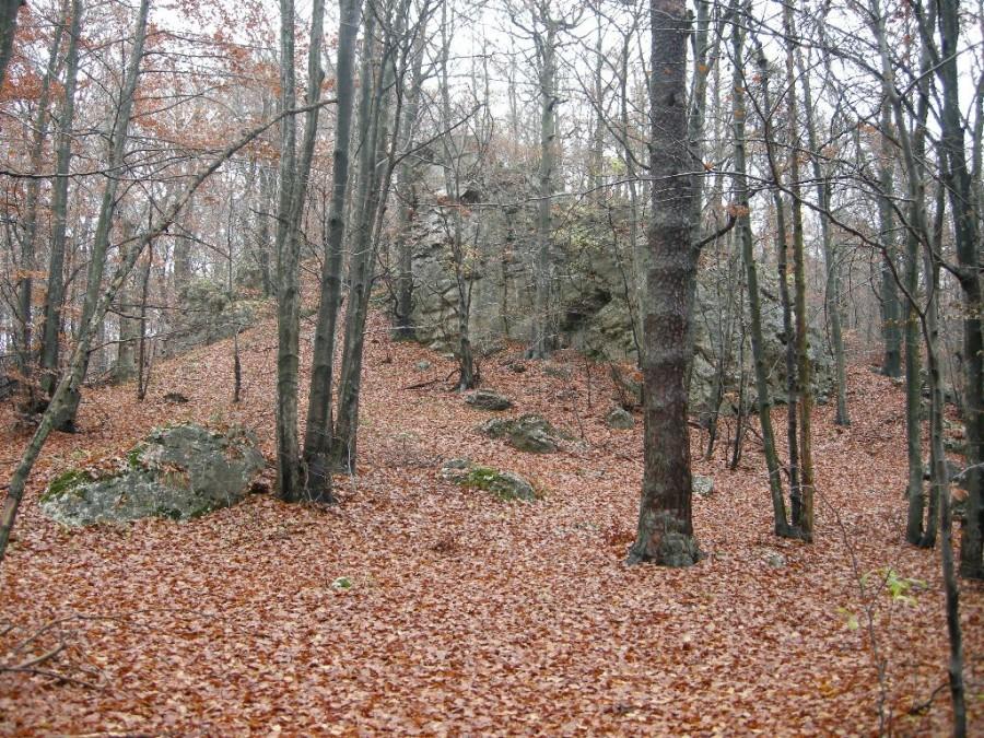 Ostaniec na Sokolej Górze