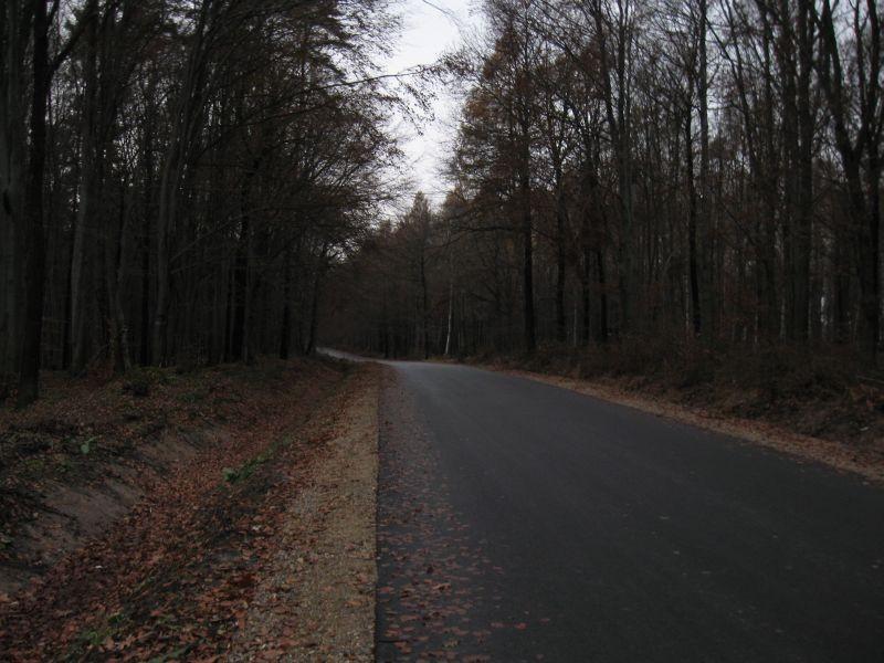 Dzień był ponury.