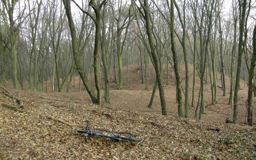 W Parku Krajobrazowym Promno
