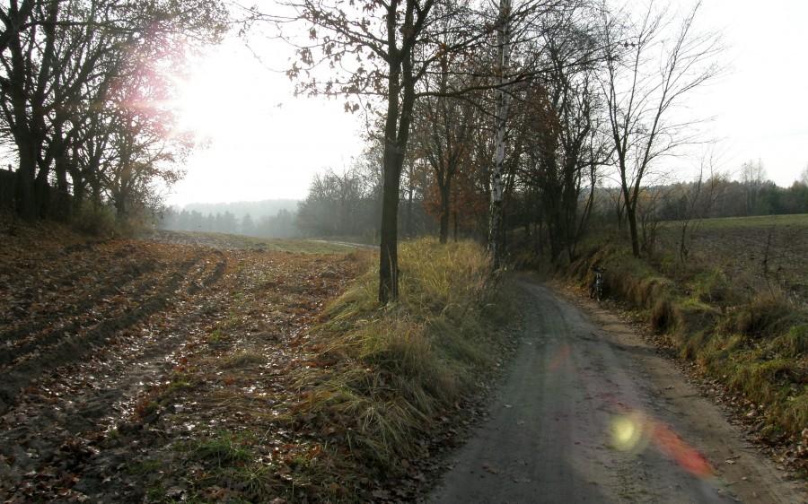 Na trasie poznańskiego BM-u