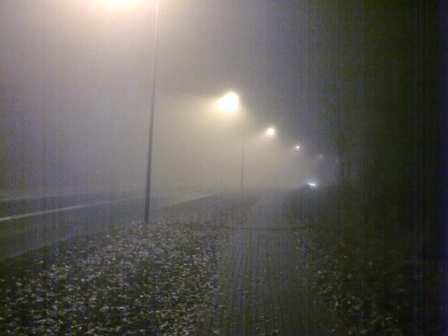 Mgła