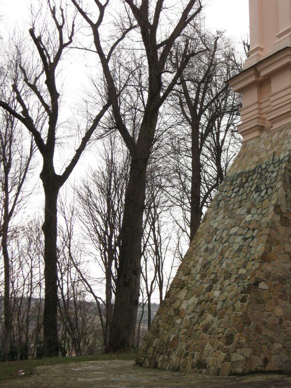 Borek Stary jeszcze raz.