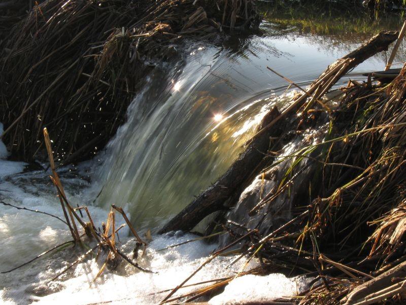 Mega wodospad.