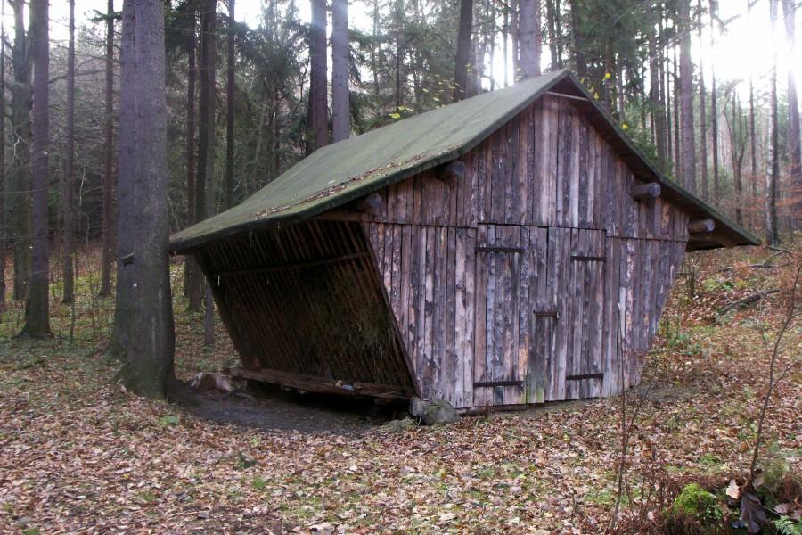 Paśnik