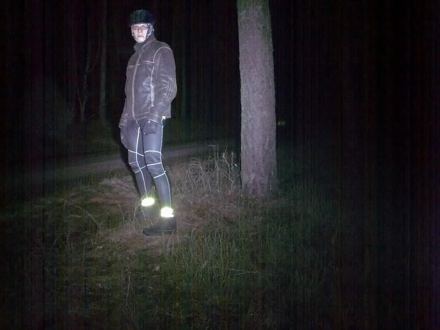 W puszczy Bydgoskiej nocą
