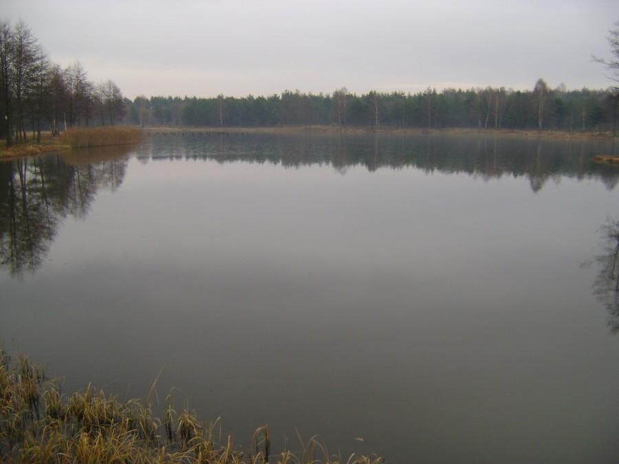 Zalew Czarniecki