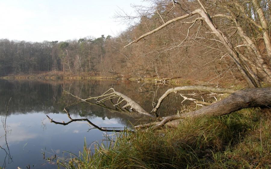 Jesiennie nad Kociołkiem