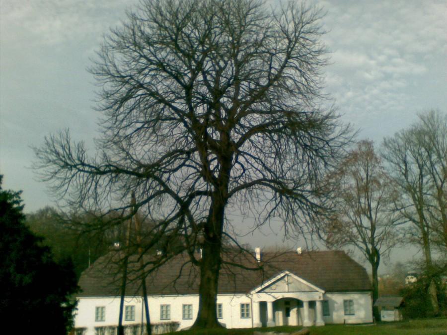 Dworek Krasińskich