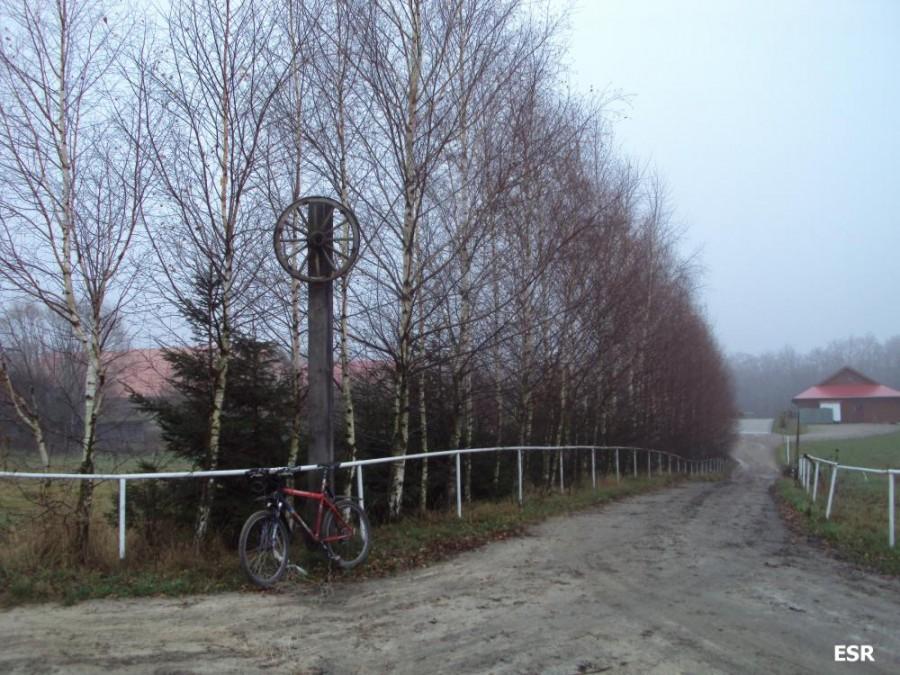 Wjazd do stadniny Sokolnik