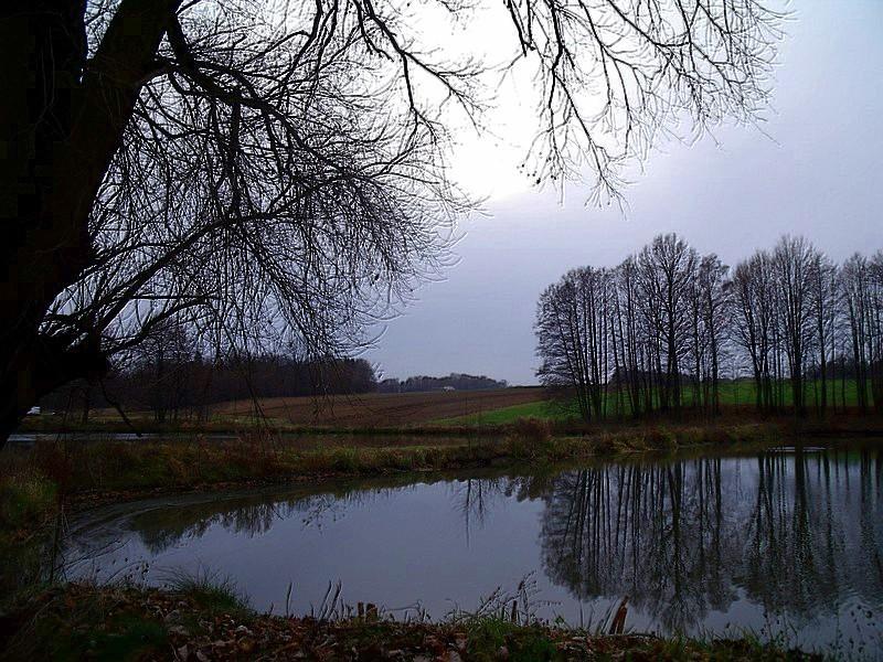 ciche i blade słońce wybłysło z pomroczy