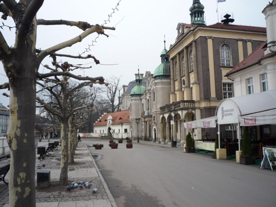 dziwne te drzewka na Pszczyńskim rynku