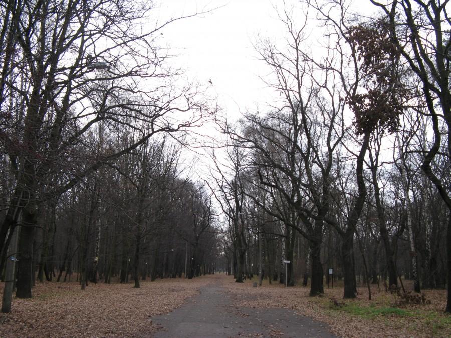 Zielona