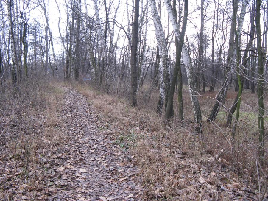 Szlak rowerowy Zielona - Będzin