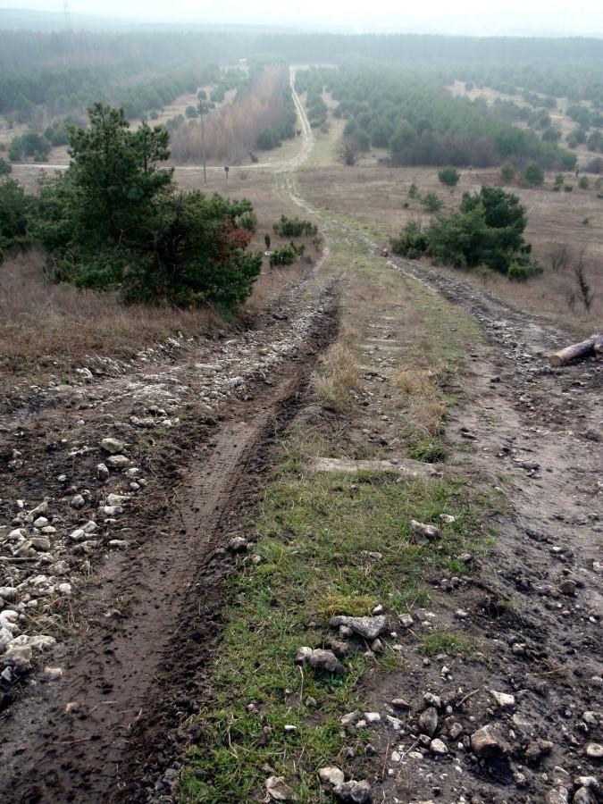 Zjazd w Towarnych