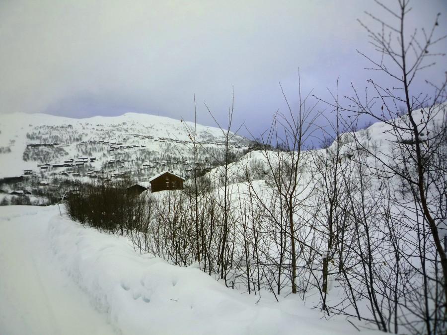 Våksli, Telemark