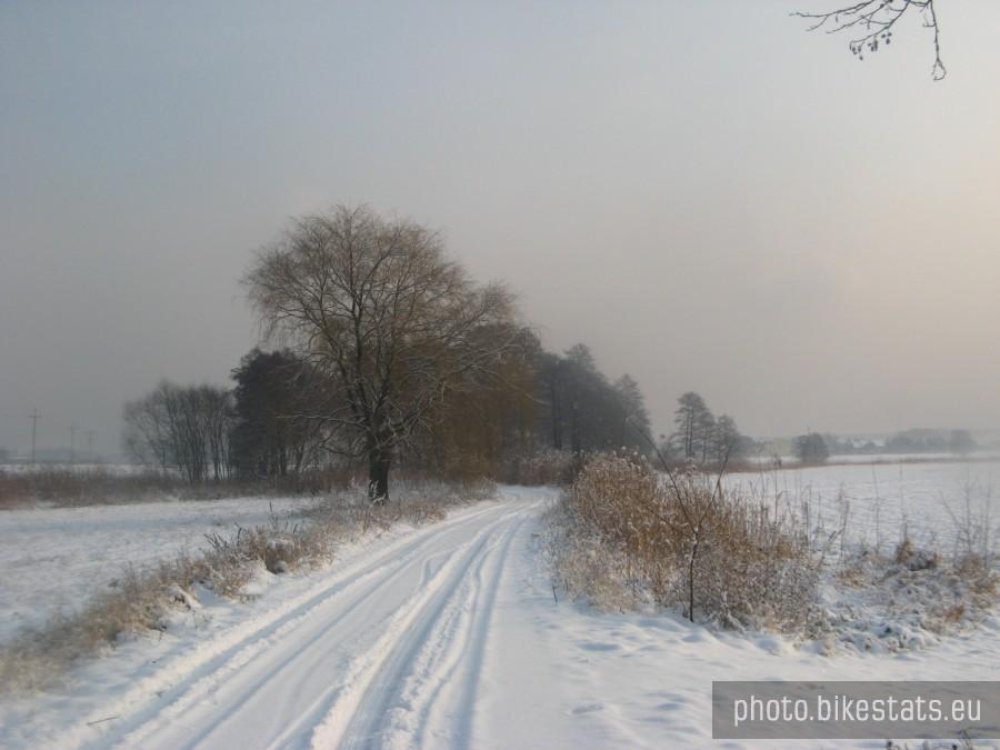 białe szaleństwo