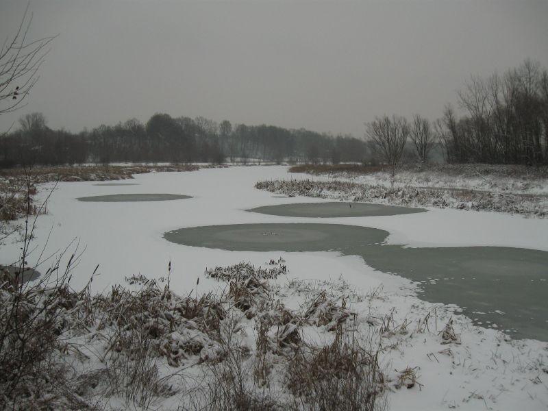 Wisłok zamarza.