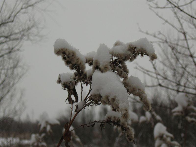 Zimowe klimaty.