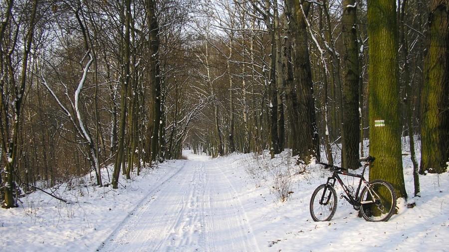 Śnieżna szosa