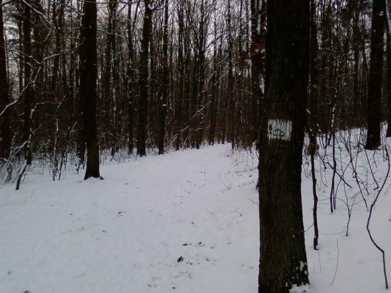 Szlak