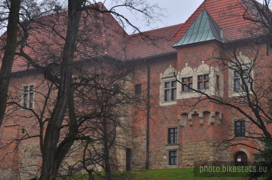 Zamek w Dębnie