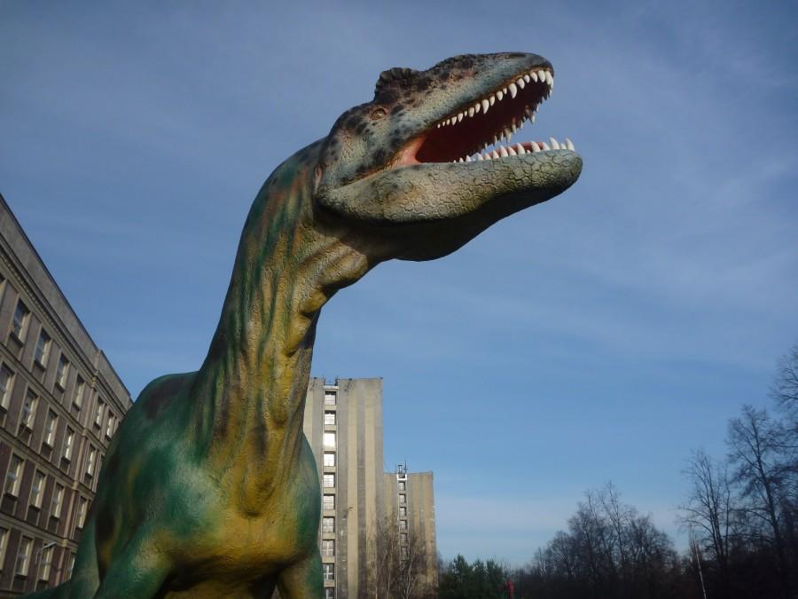 Szansa na spotkanie dinozaura - 50% :-)